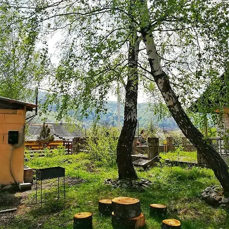 Guest House Pisnya Karpat Skole Exterior photo