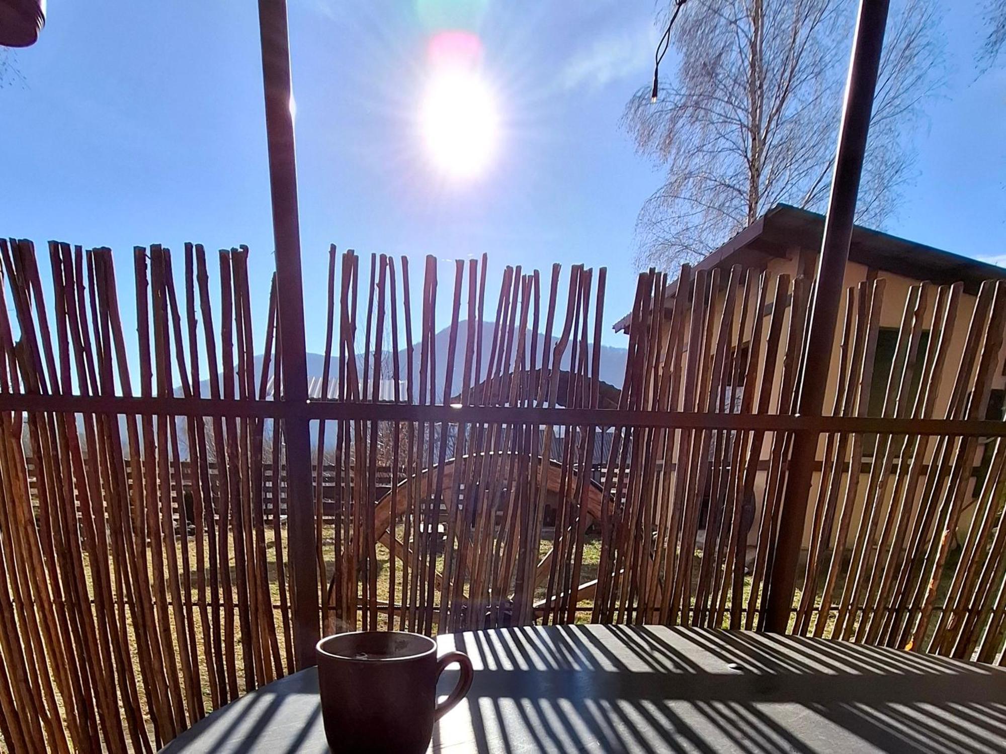 Pisnya Karpat * Skole