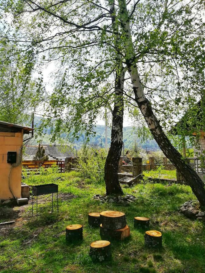 Pisnya Karpat