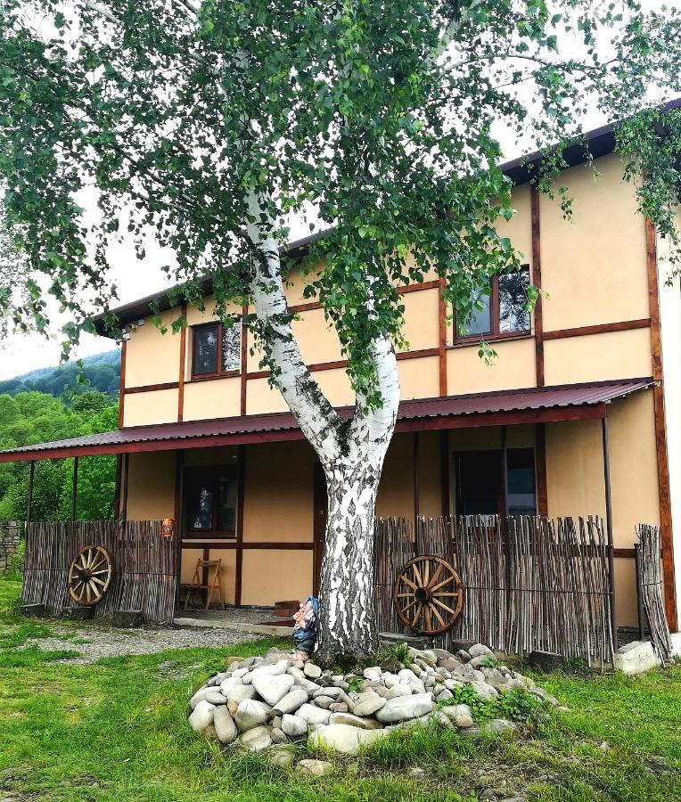 Pisnya Karpat Holiday home *