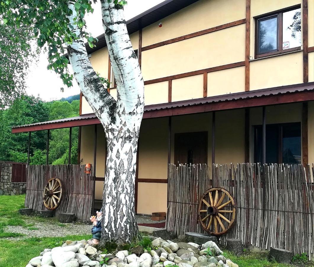 Pisnya Karpat Skole
